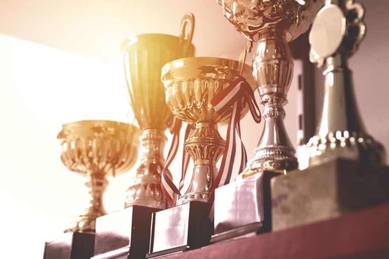 Award winning software scaled